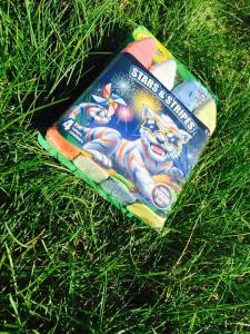 11210288_10100331733660327_1159355553_n