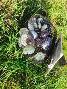 11256407_10100331733665317_1699743257_n